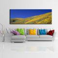 Excellent Panoramic Landscape Canvas Painting